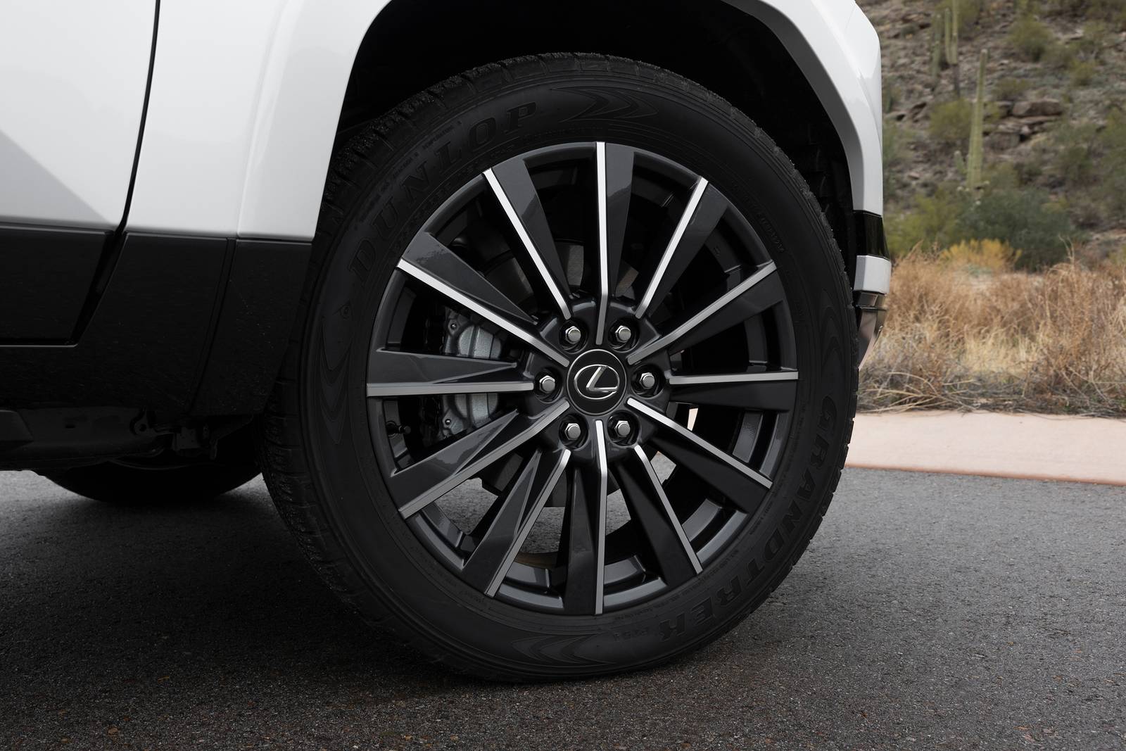 2025 Lexus Gx exterior W