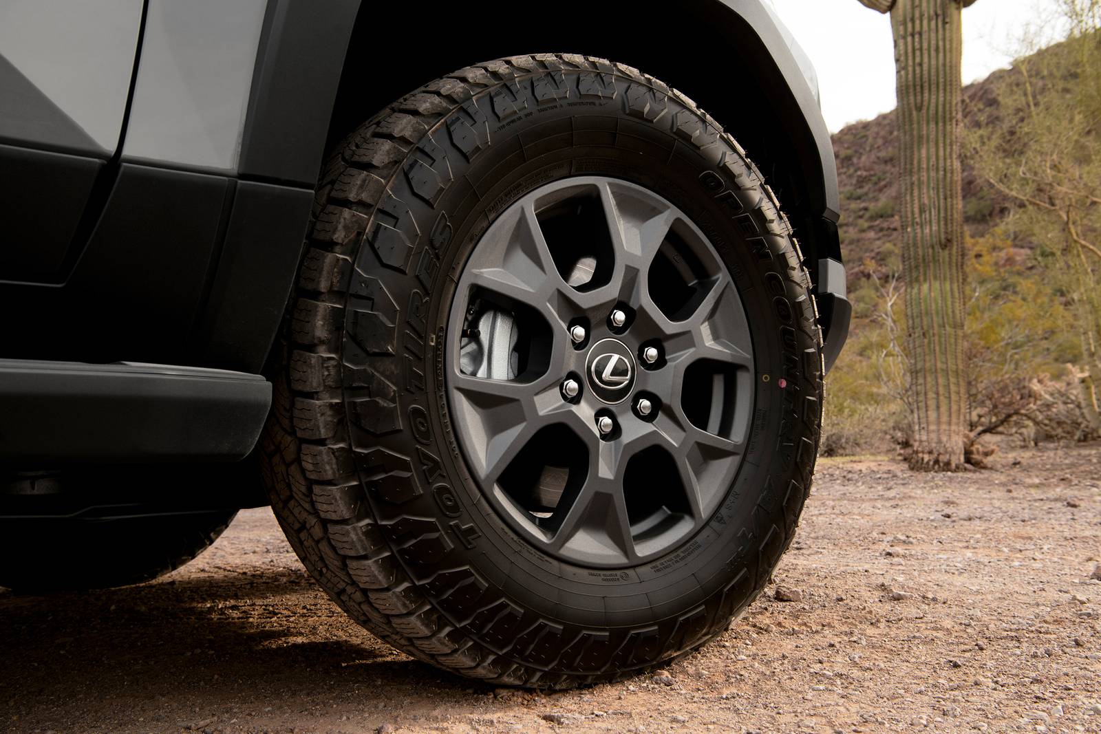 2025 Lexus Gx exterior W