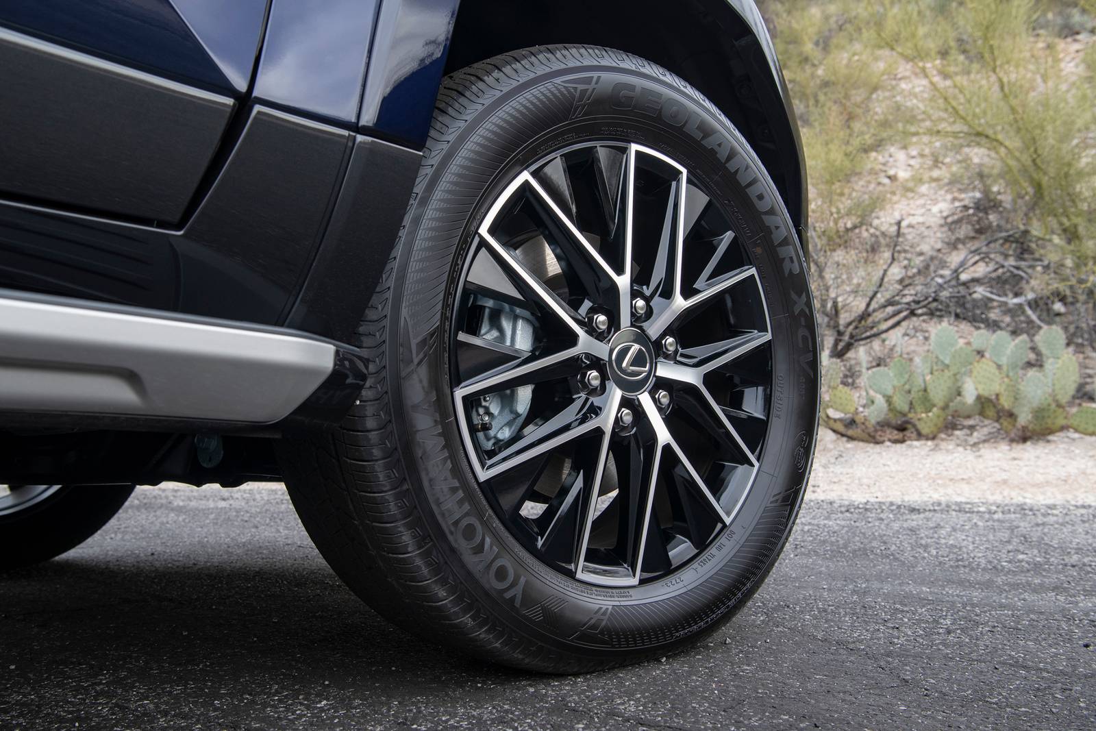 2025 Lexus Gx exterior W