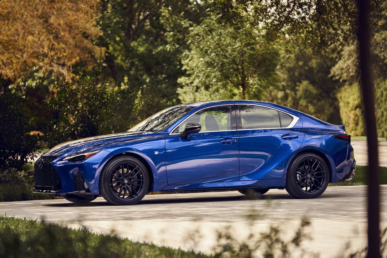 2024 Lexus IS — OEM photo 3