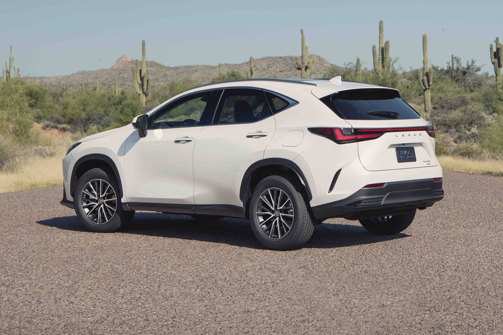2022 Lexus Nx exterior FQ