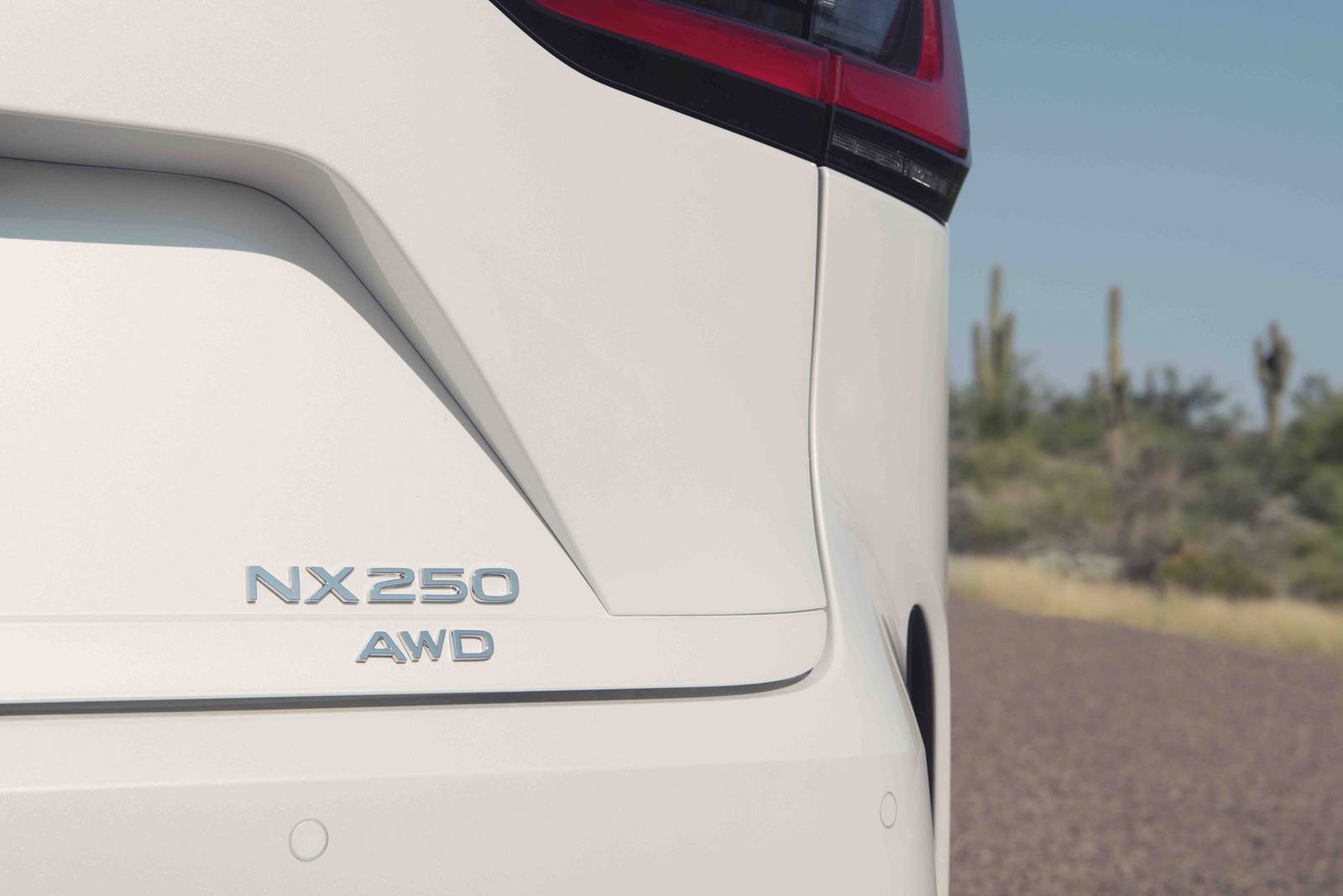 2022 Lexus Nx exterior RBDG