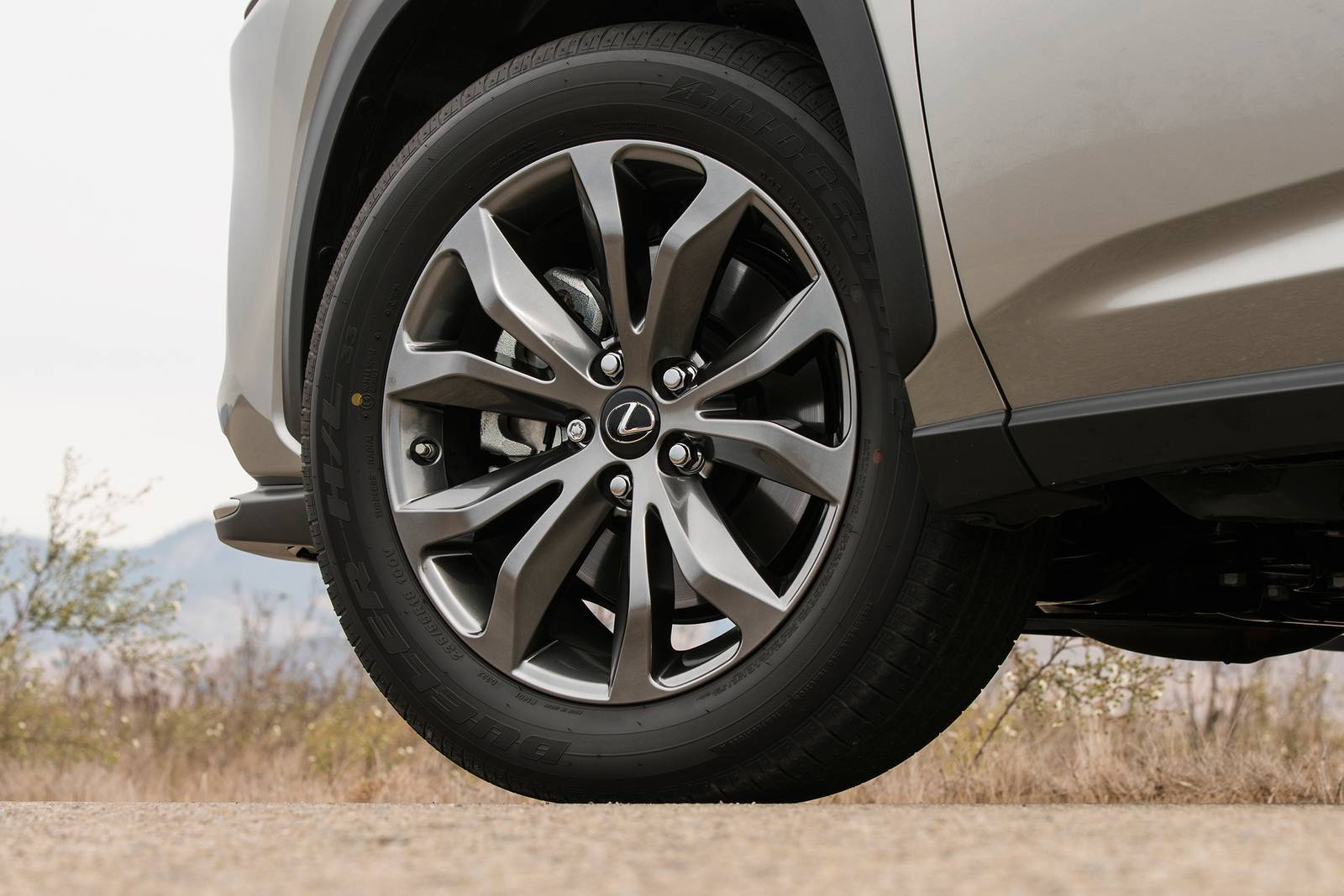 2018 Lexus Nx exterior W