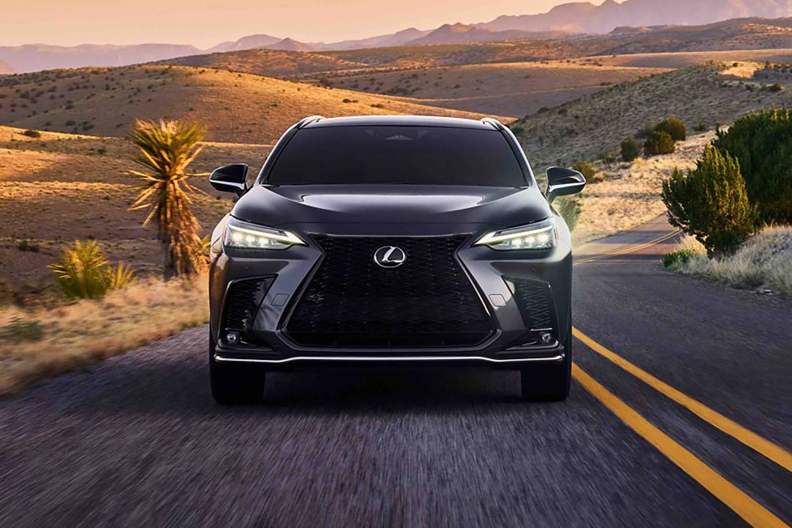 2022 Lexus Nx exterior F