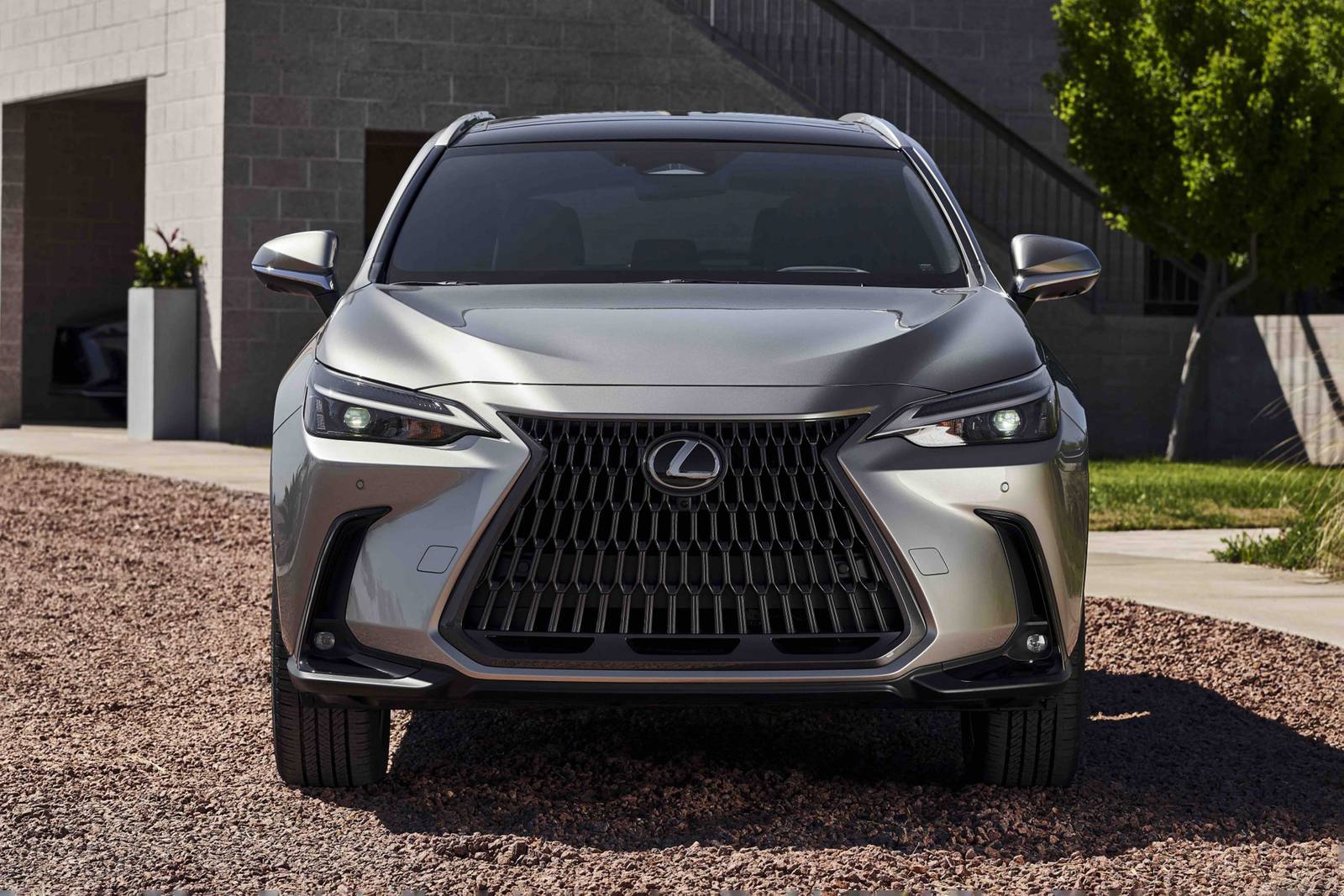 2022 Lexus Nx exterior F