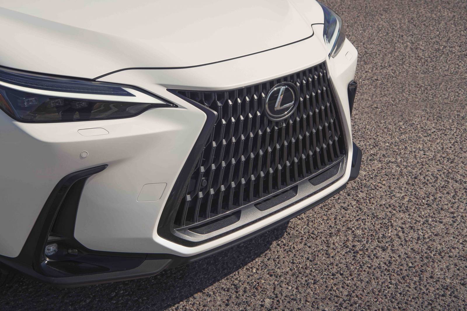 2024 Lexus Nx exterior FBDG