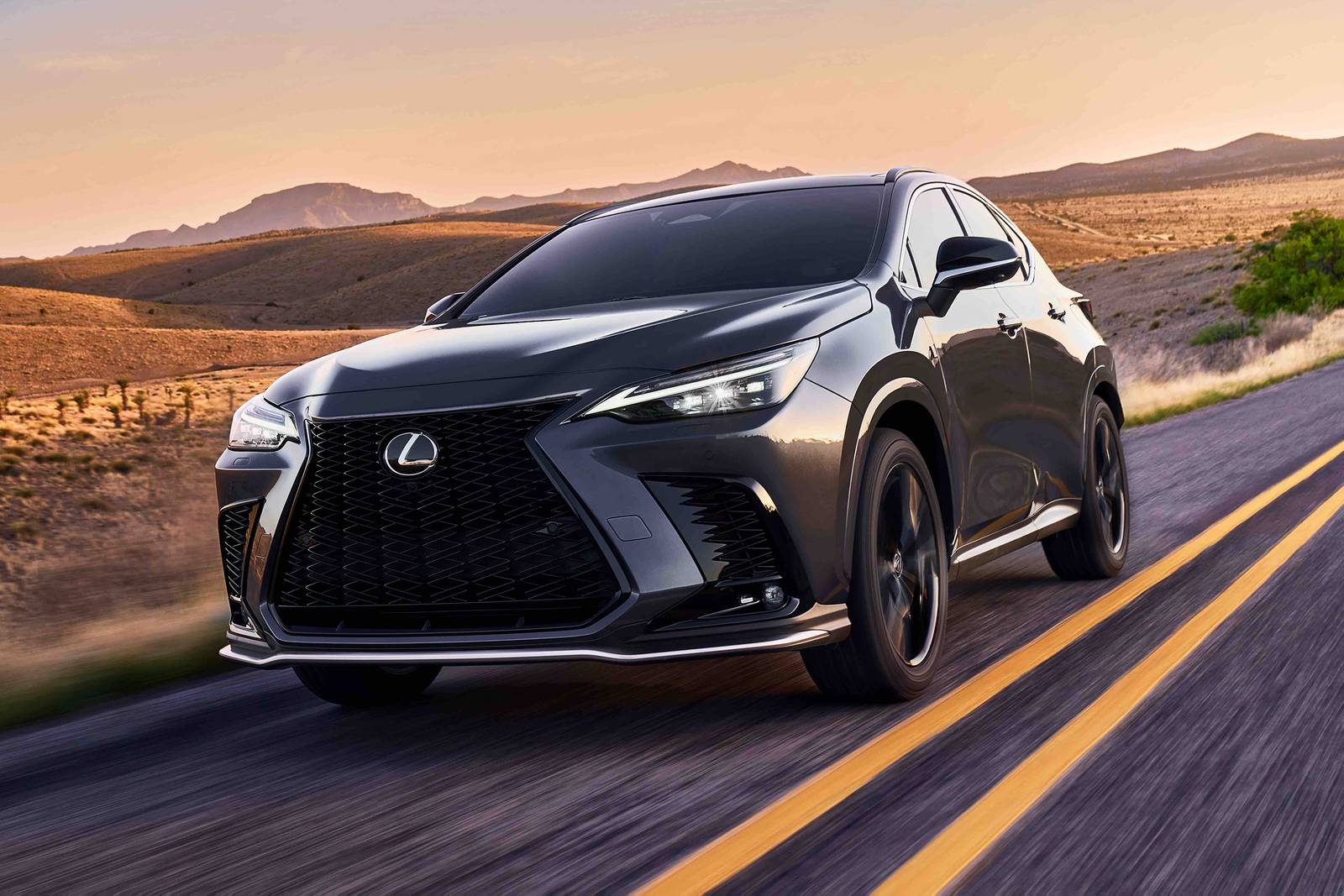 2024 Lexus Nx