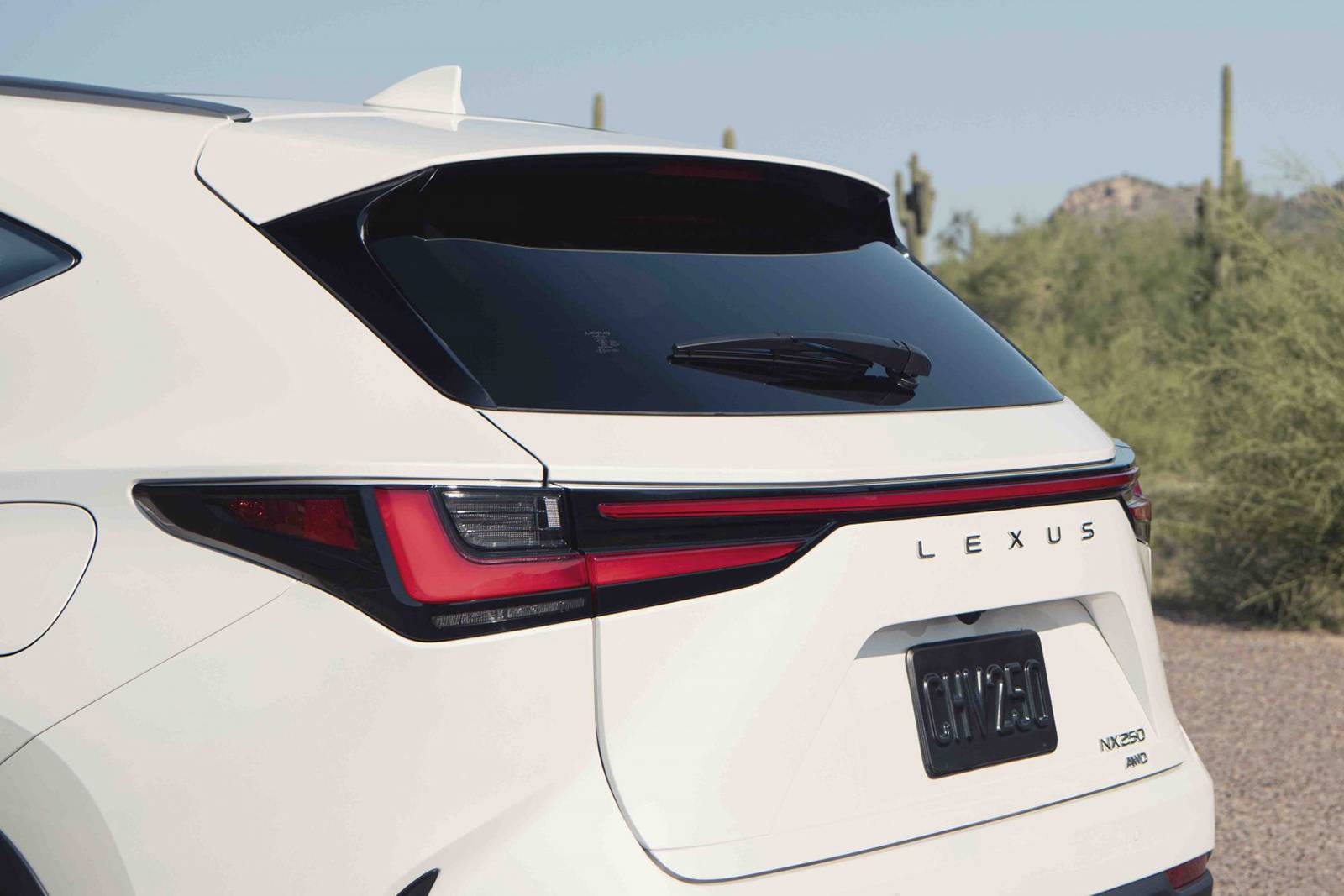 2025 Lexus Nx exterior EDETAIL