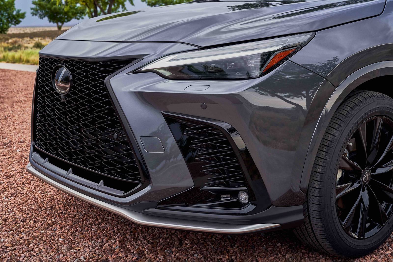 2025 Lexus Nx exterior EDETAIL