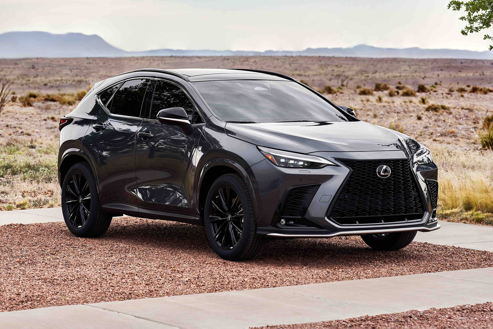 2025 Lexus Nx