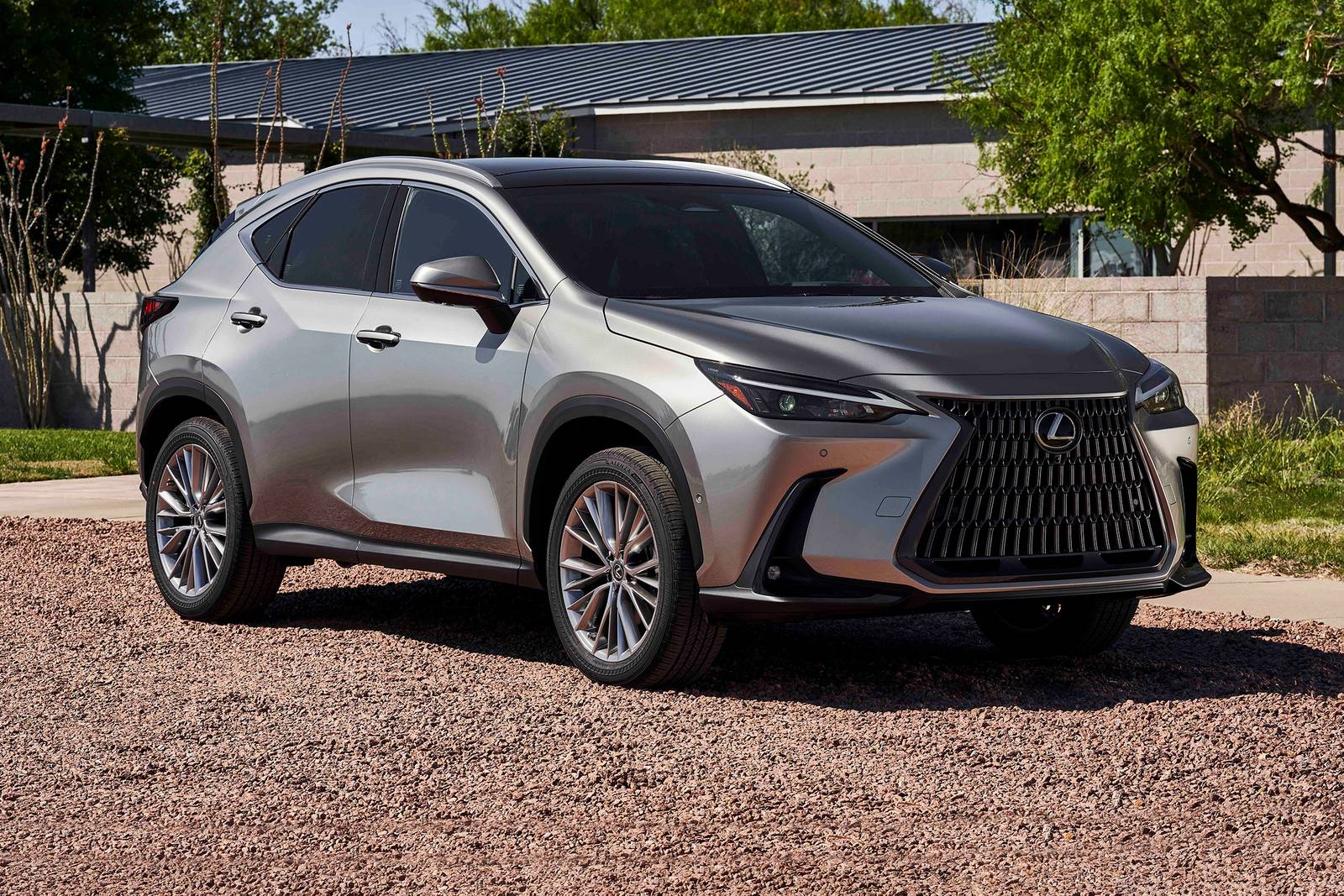 2025 Lexus Nx exterior FQ