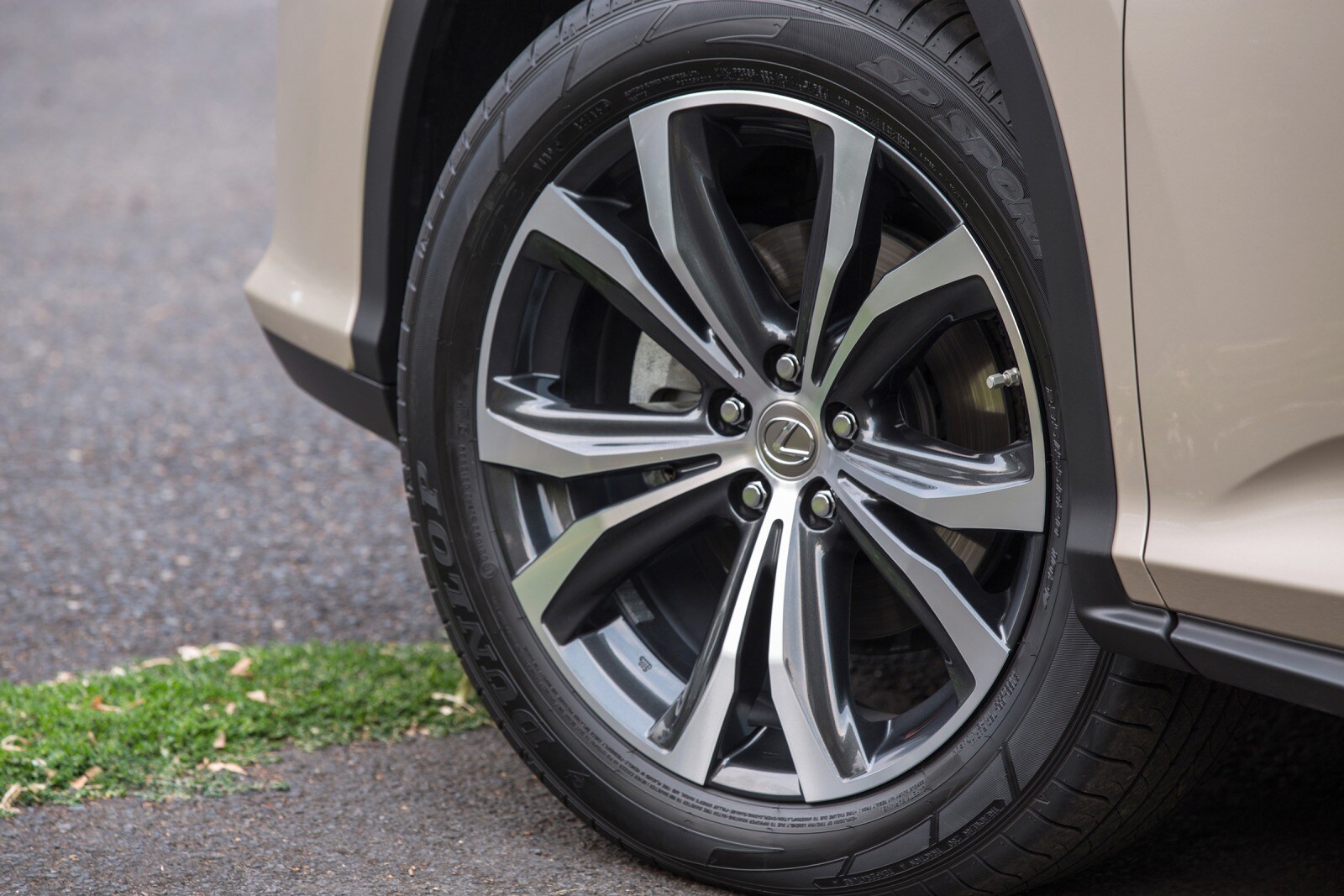 2016 Lexus Rx exterior W