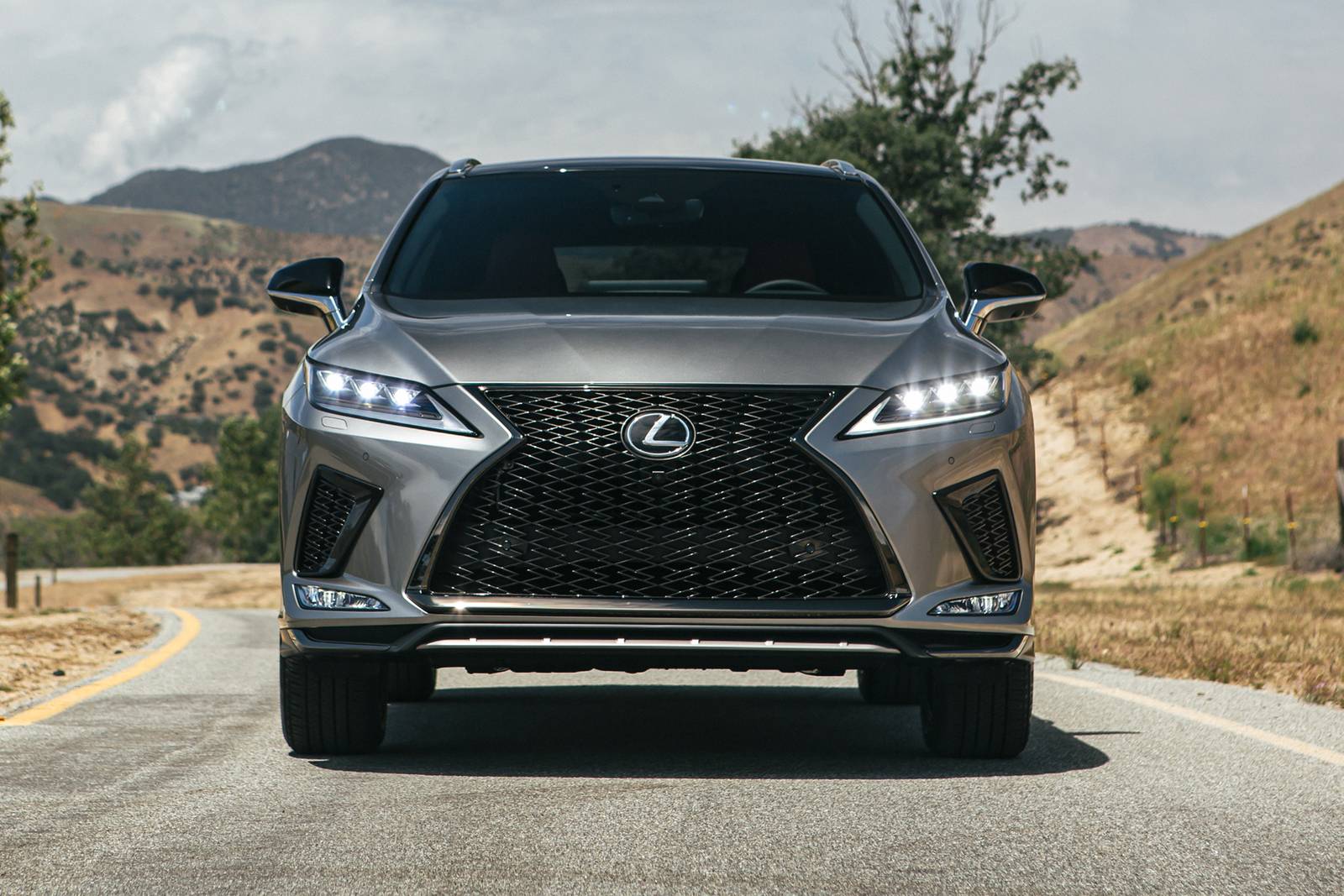 2020 Lexus Rx exterior F