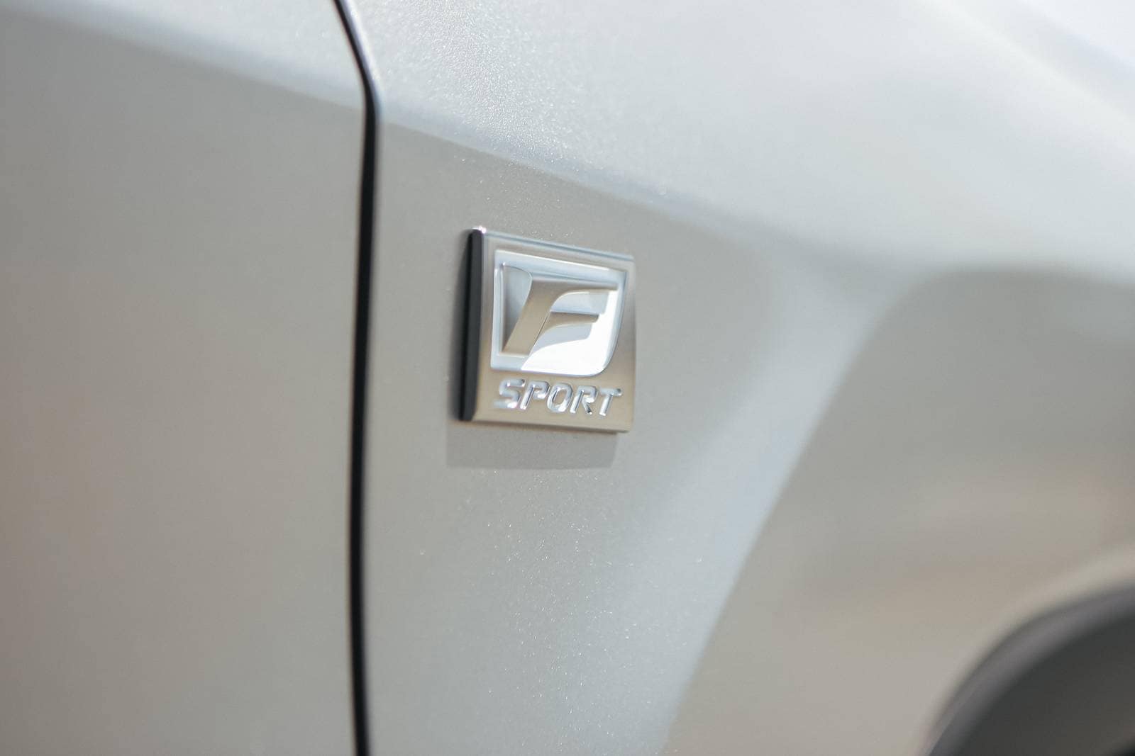 2020 Lexus Rx exterior FBDG