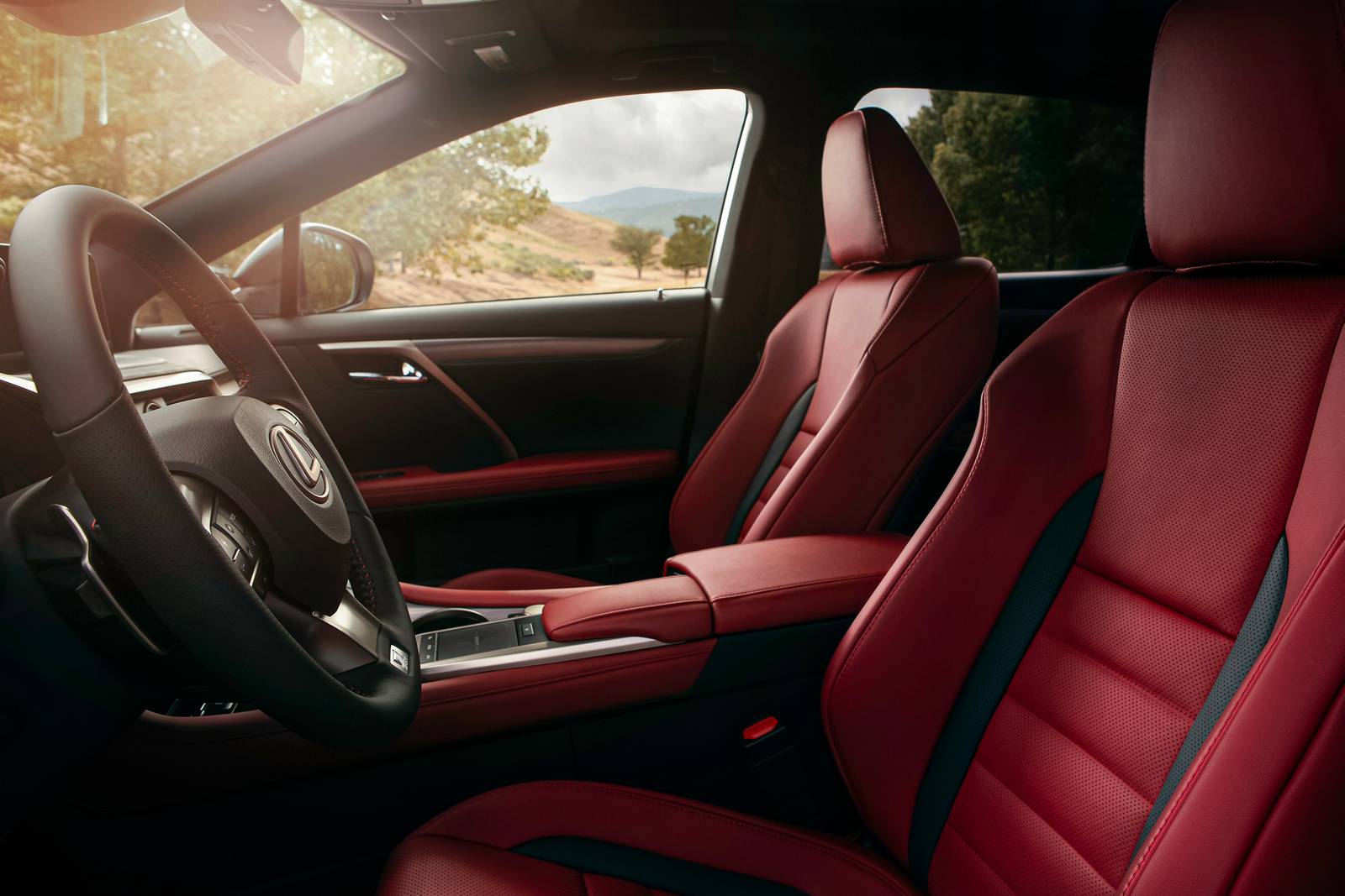 2020 Lexus Rx interior I