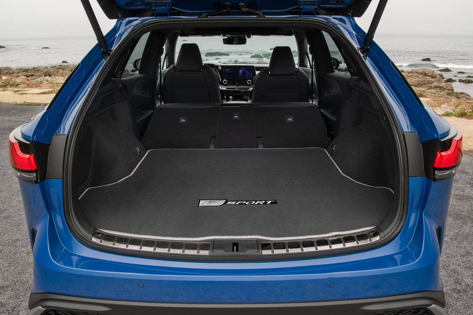 2023 Lexus Rx interior RSD