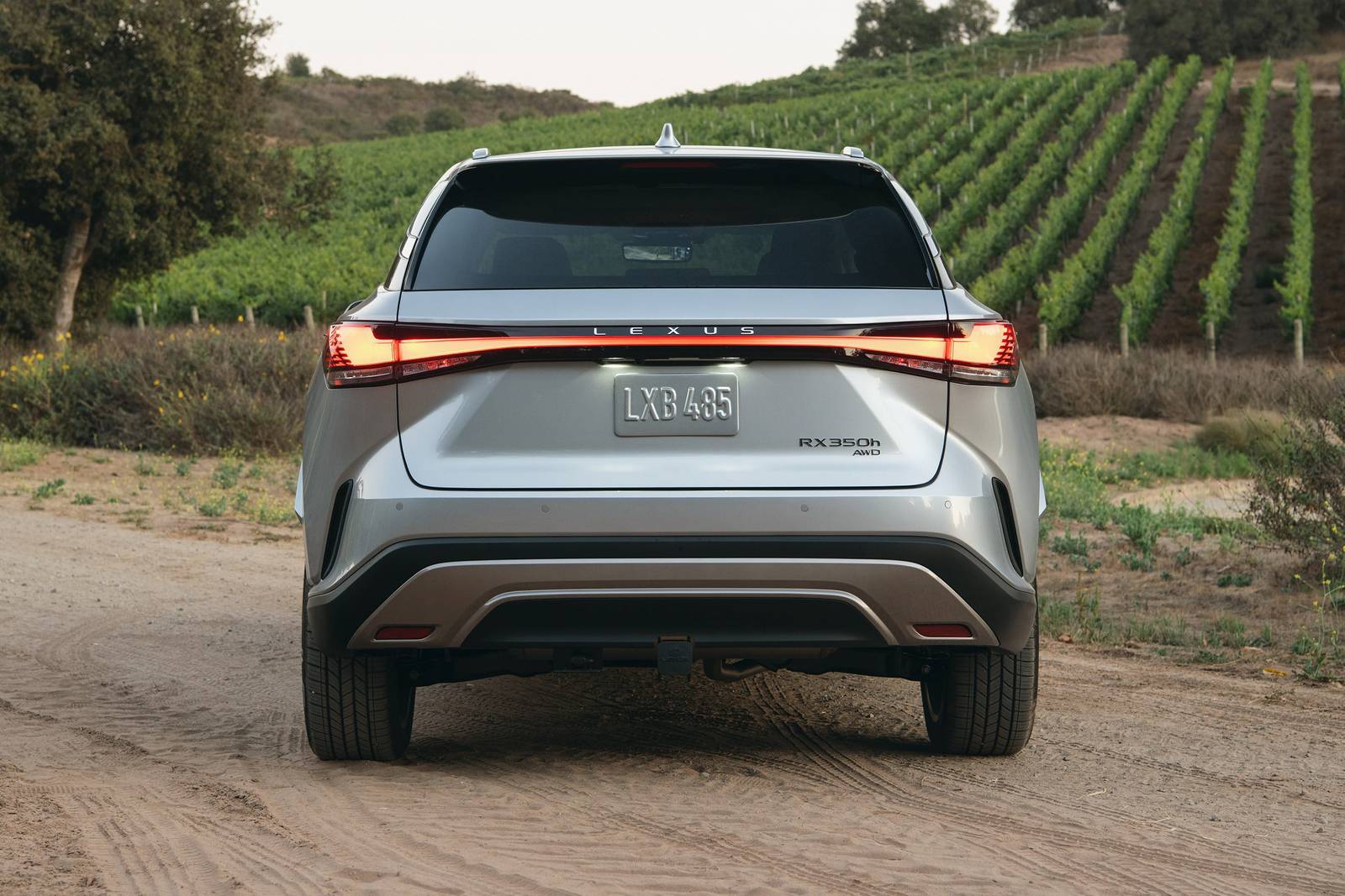 2023 Lexus Rx exterior F