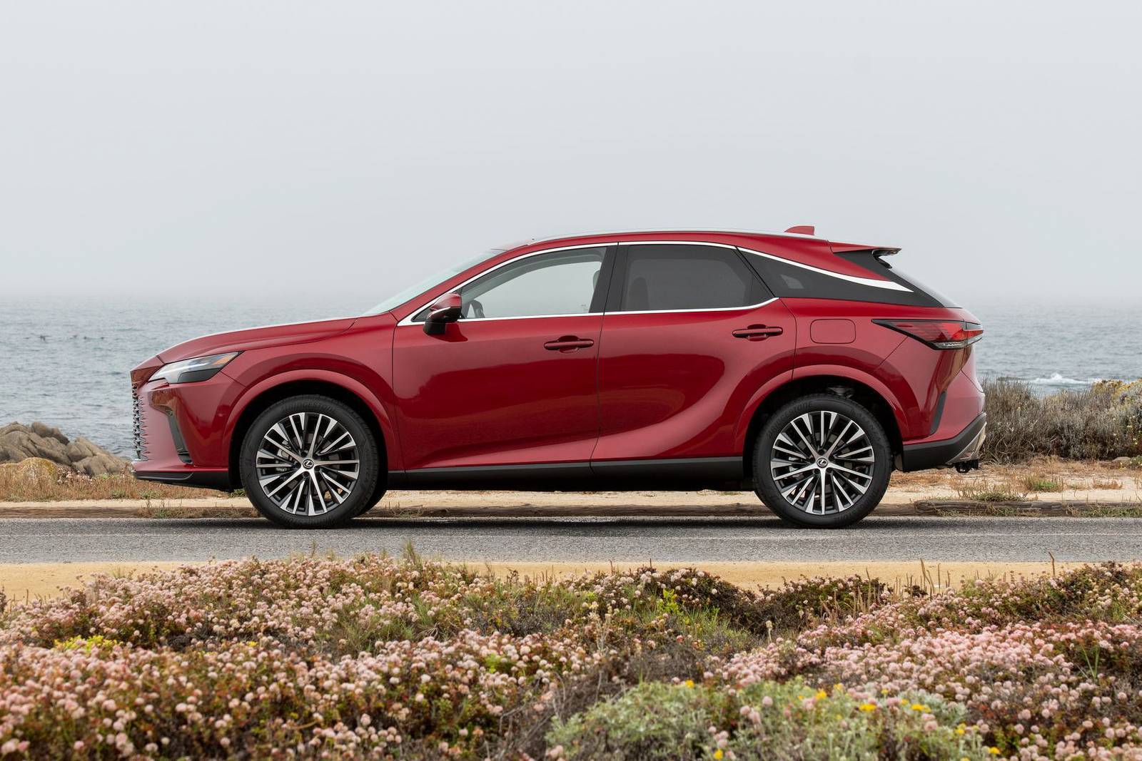 2023 Lexus Rx exterior S
