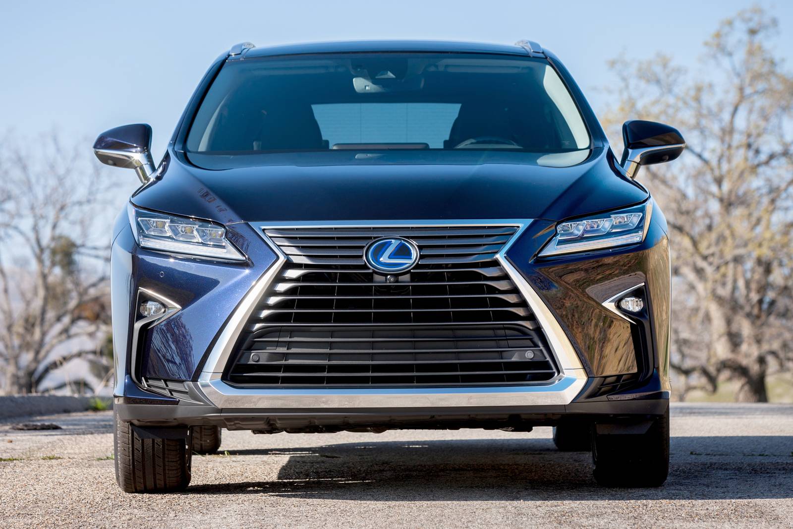 2018 Lexus Rx exterior F