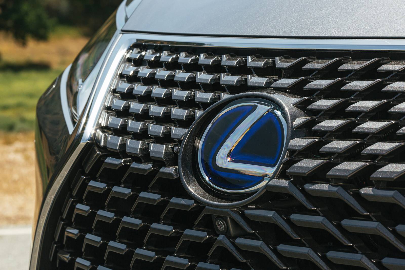 2020 Lexus Rx exterior FBDG