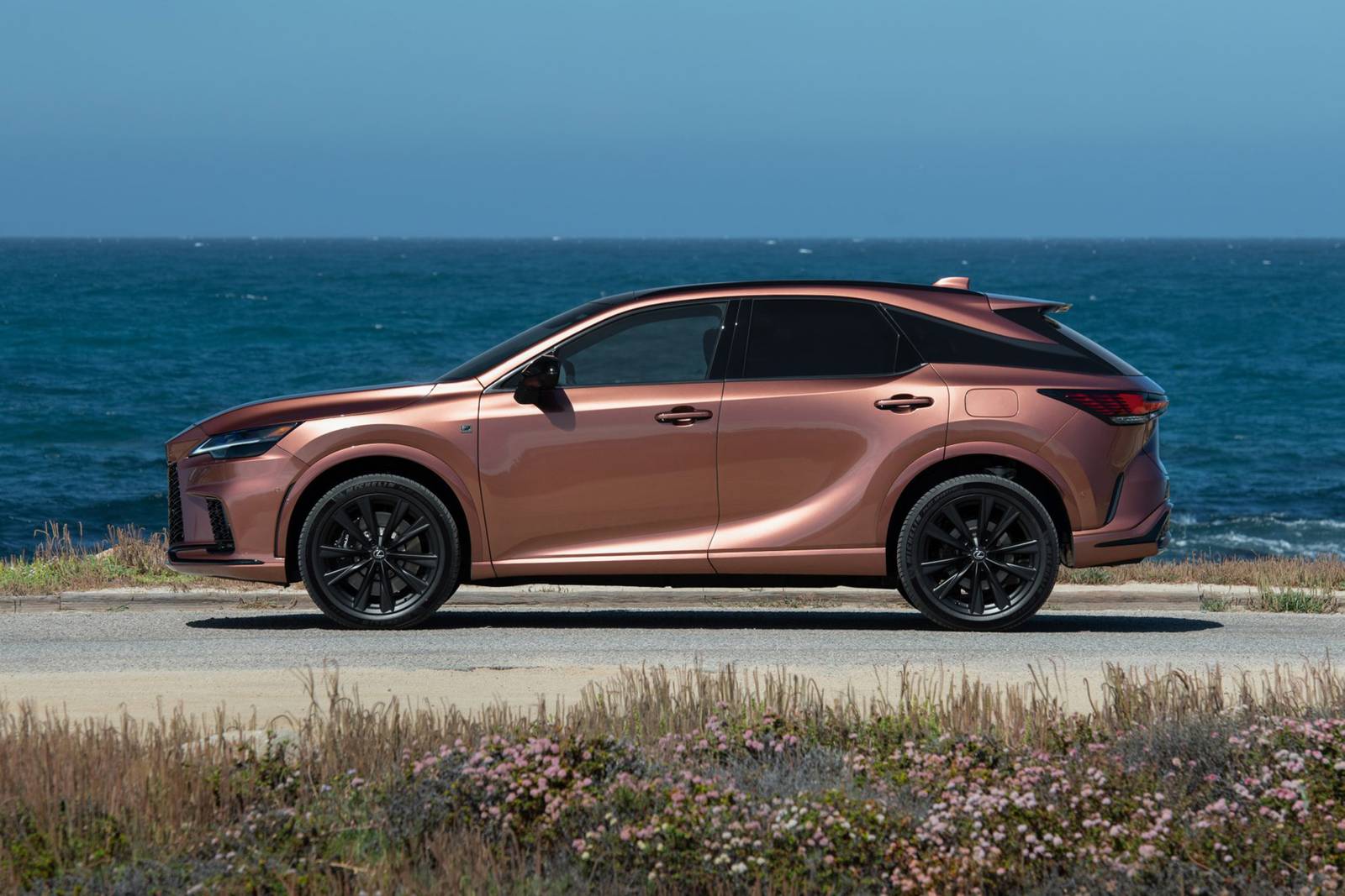 2023 Lexus Rx exterior S
