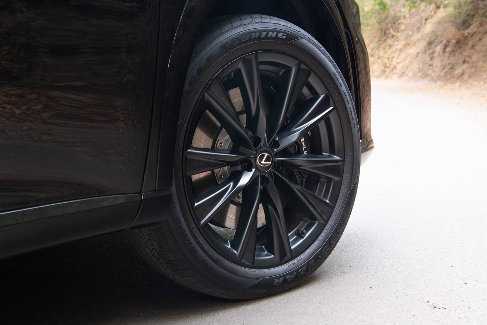 2023 Lexus Rx exterior W