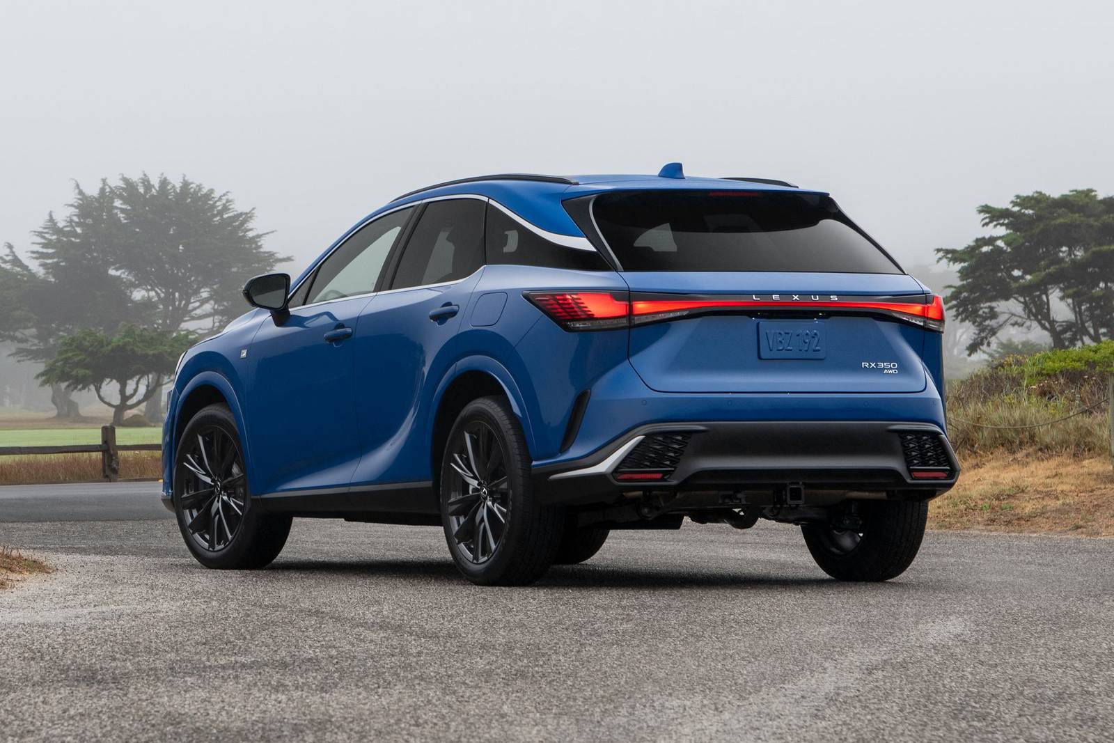 2024 Lexus Rx