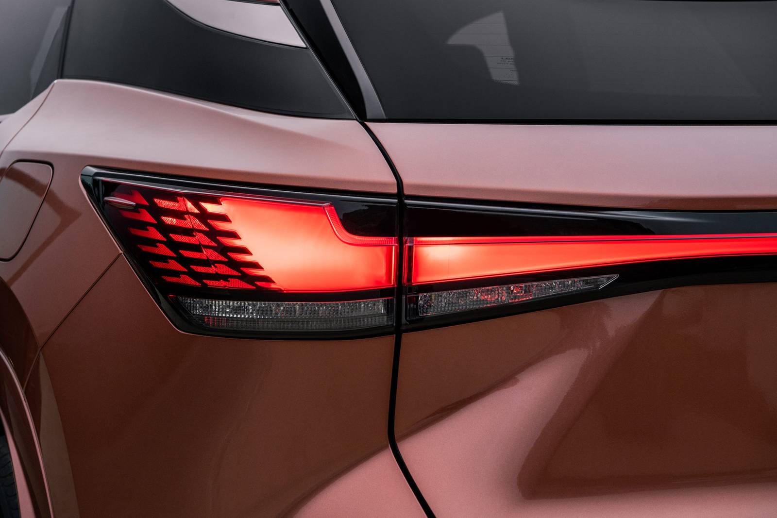 2024 Lexus Rx exterior EDETAIL