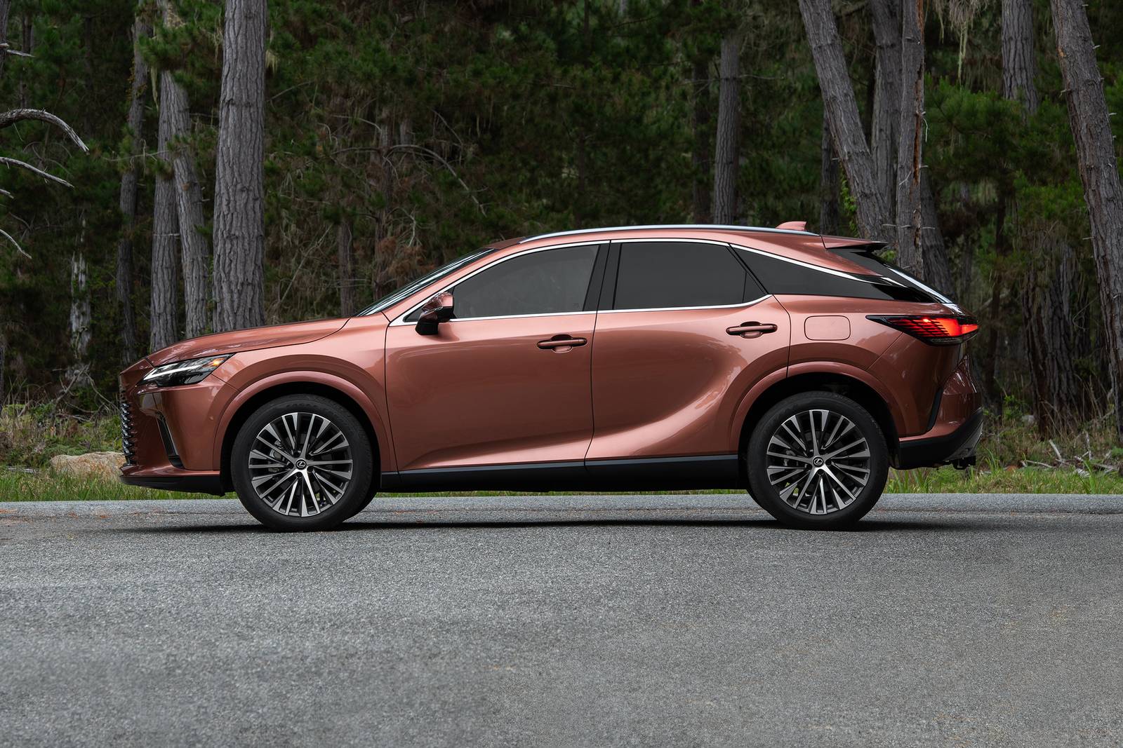 2024 Lexus Rx exterior S