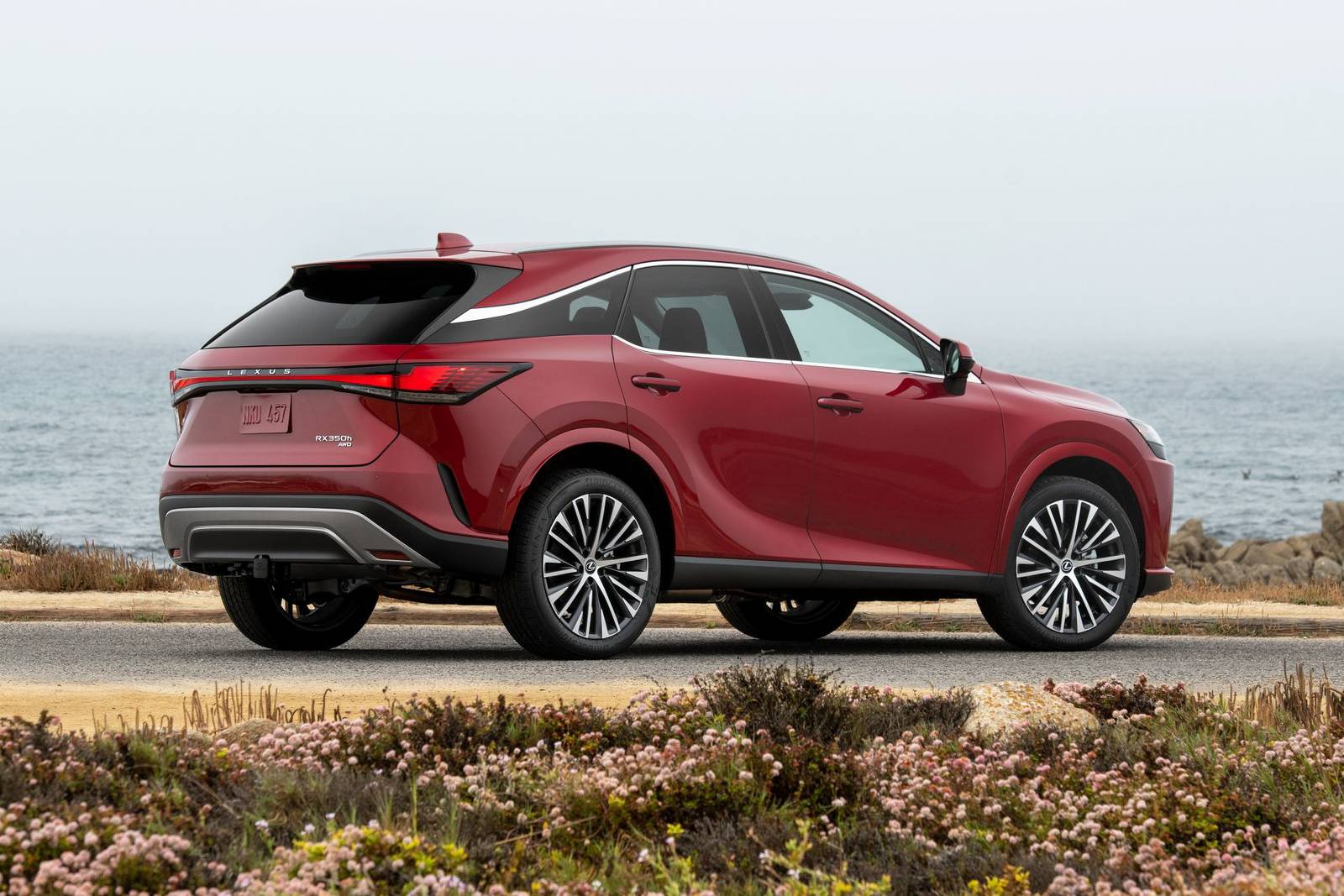 2024 Lexus Rx exterior FQ