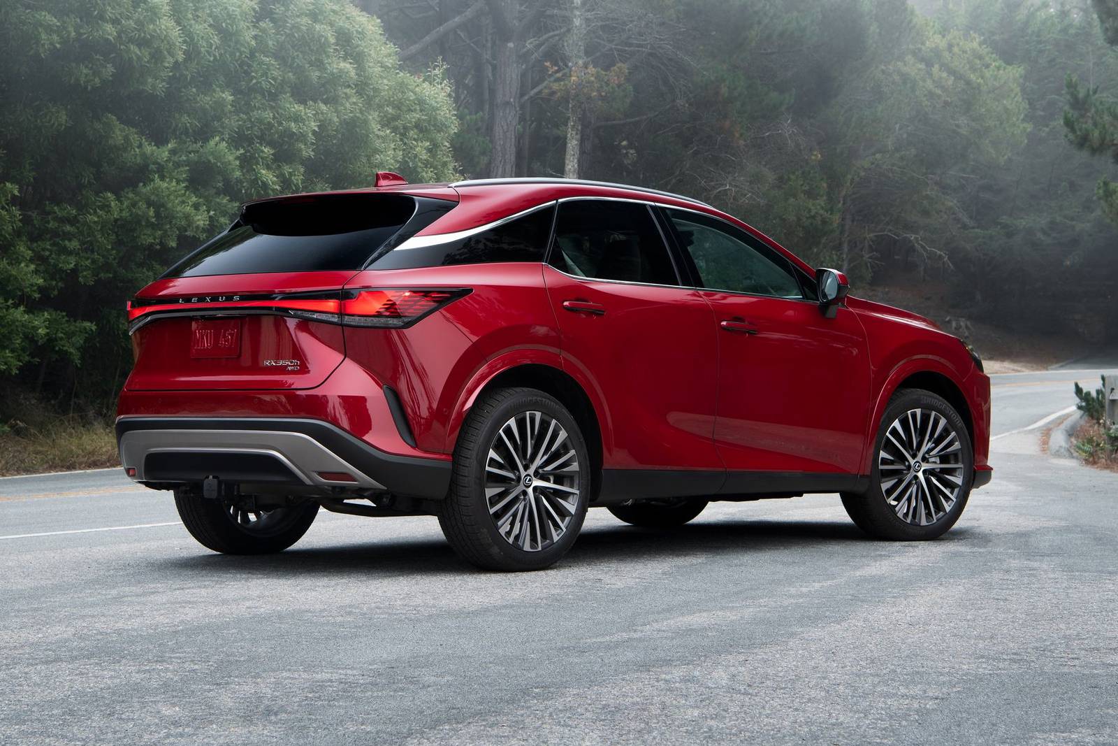 2024 Lexus Rx exterior F