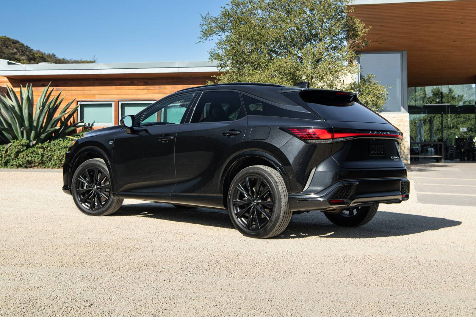 2024 Lexus Rx exterior F