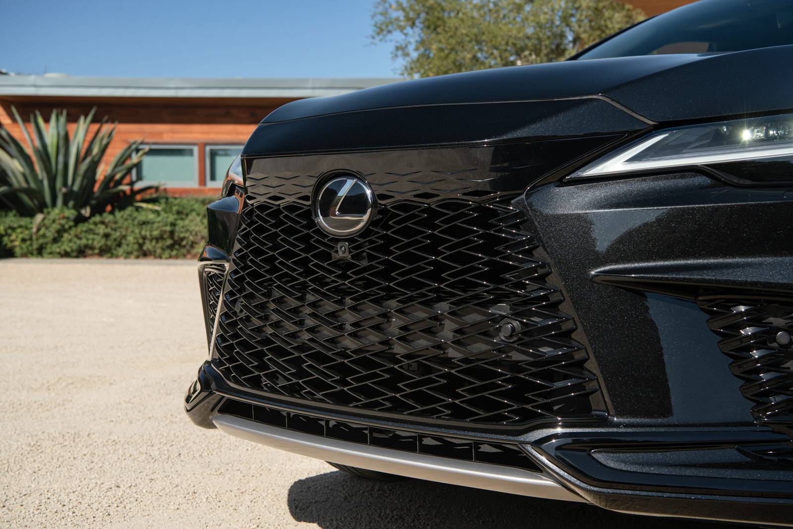 2024 Lexus Rx exterior FBDG