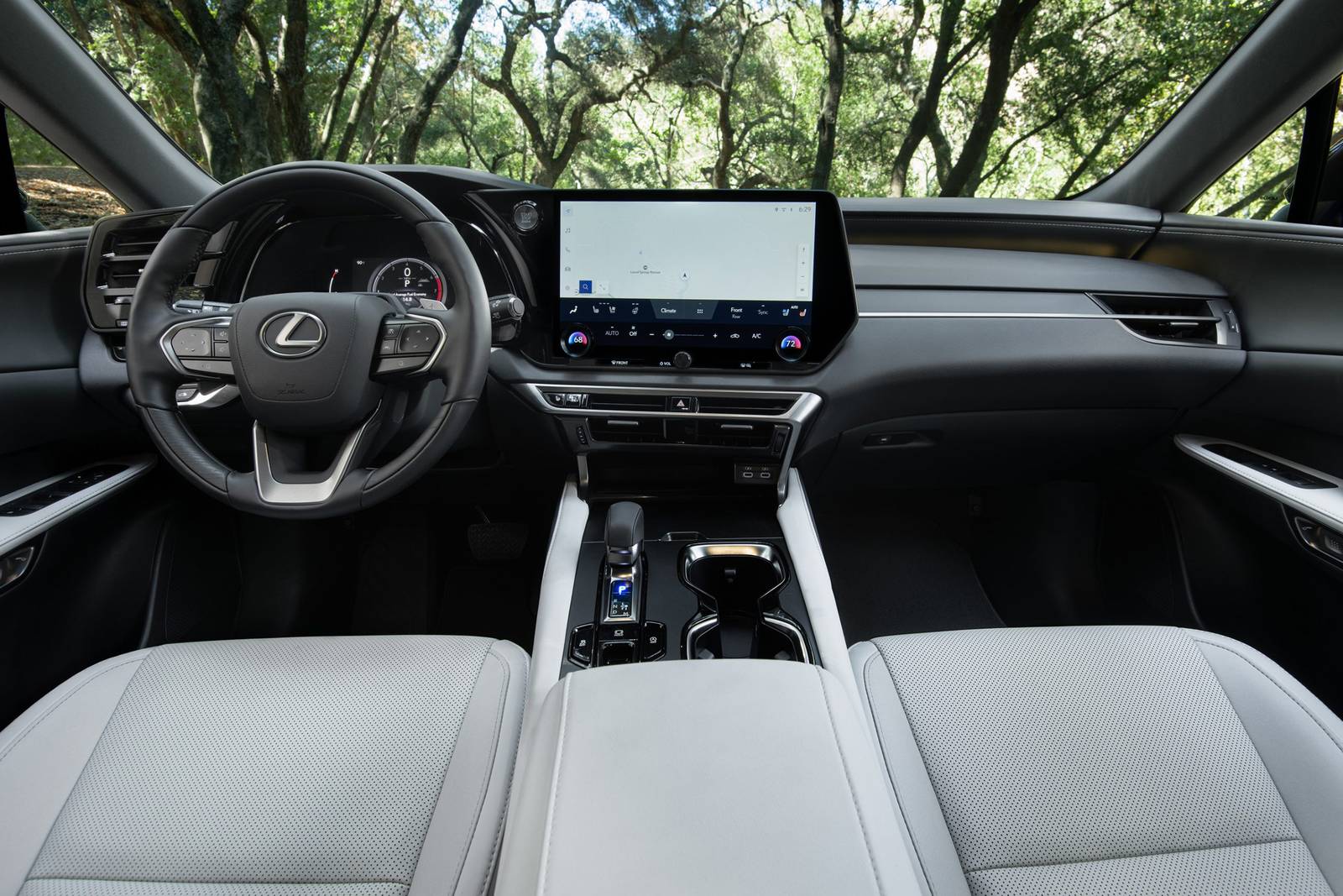 2025 Lexus RX interior D