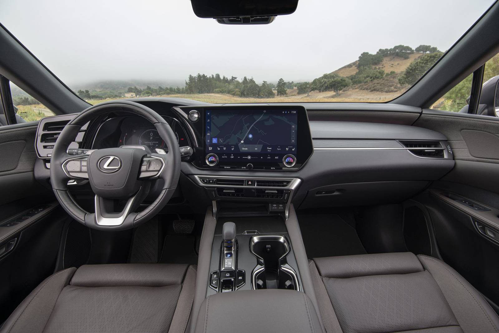 2025 Lexus RX interior D