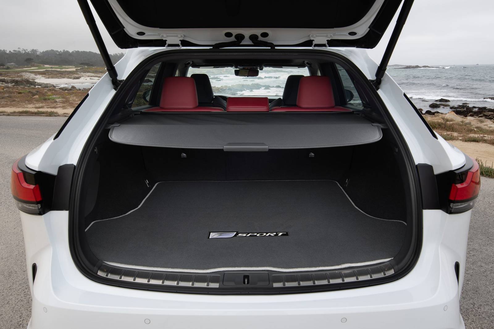 2025 Lexus RX interior CARGO