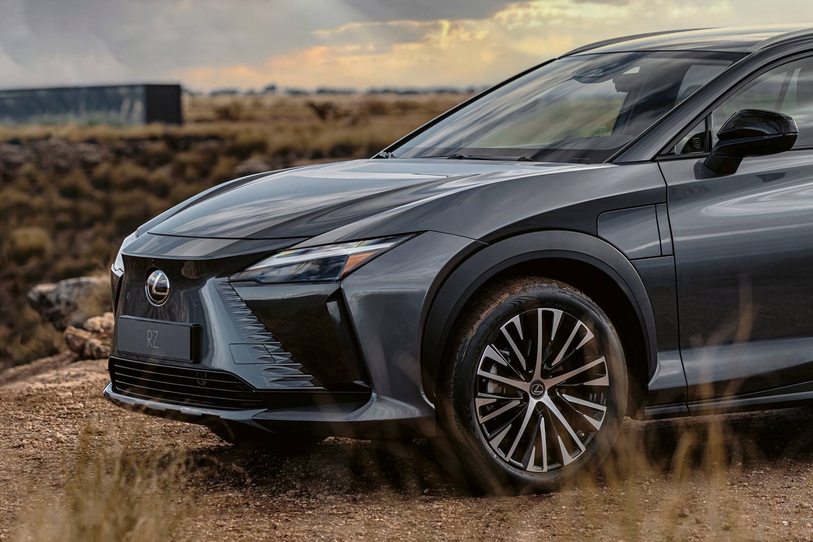 2023 Lexus Rz exterior EDETAIL