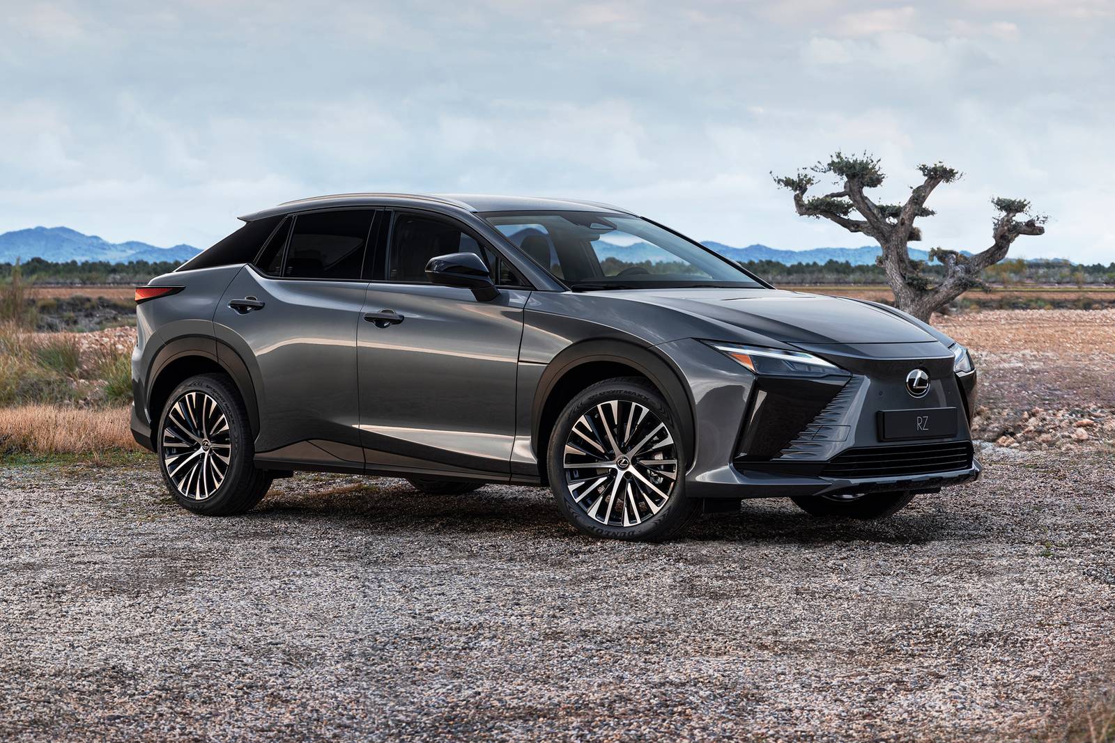 2024 Lexus Rz exterior FQ