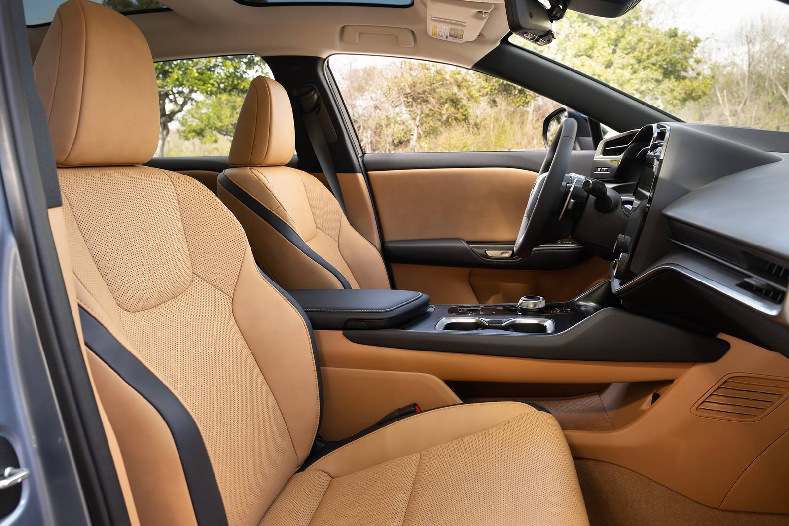 2025 Lexus Rz interior I
