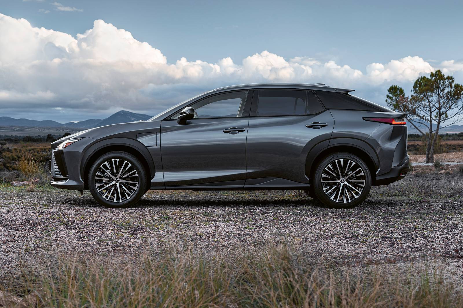 2025 Lexus Rz exterior S