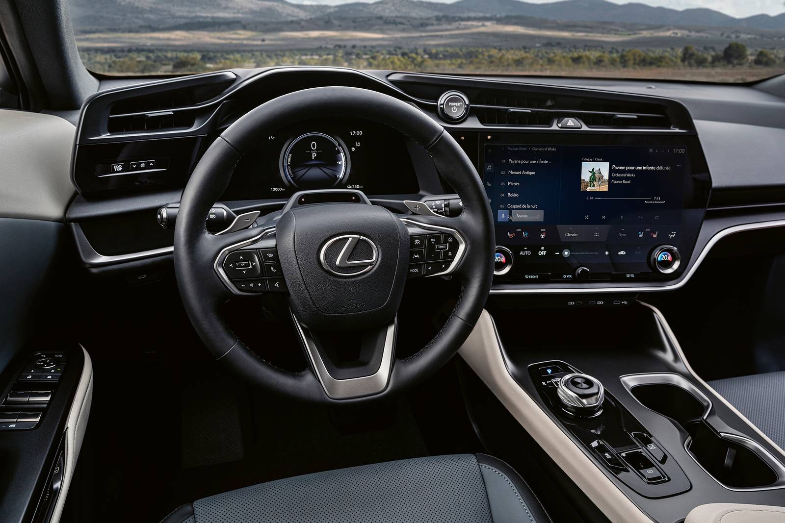 2025 Lexus Rz interior SWD