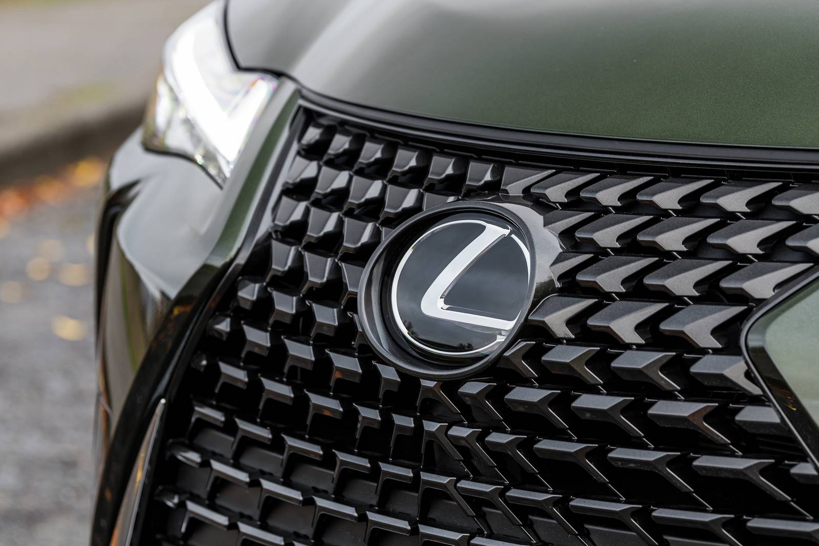 2019 Lexus Ux exterior FBDG