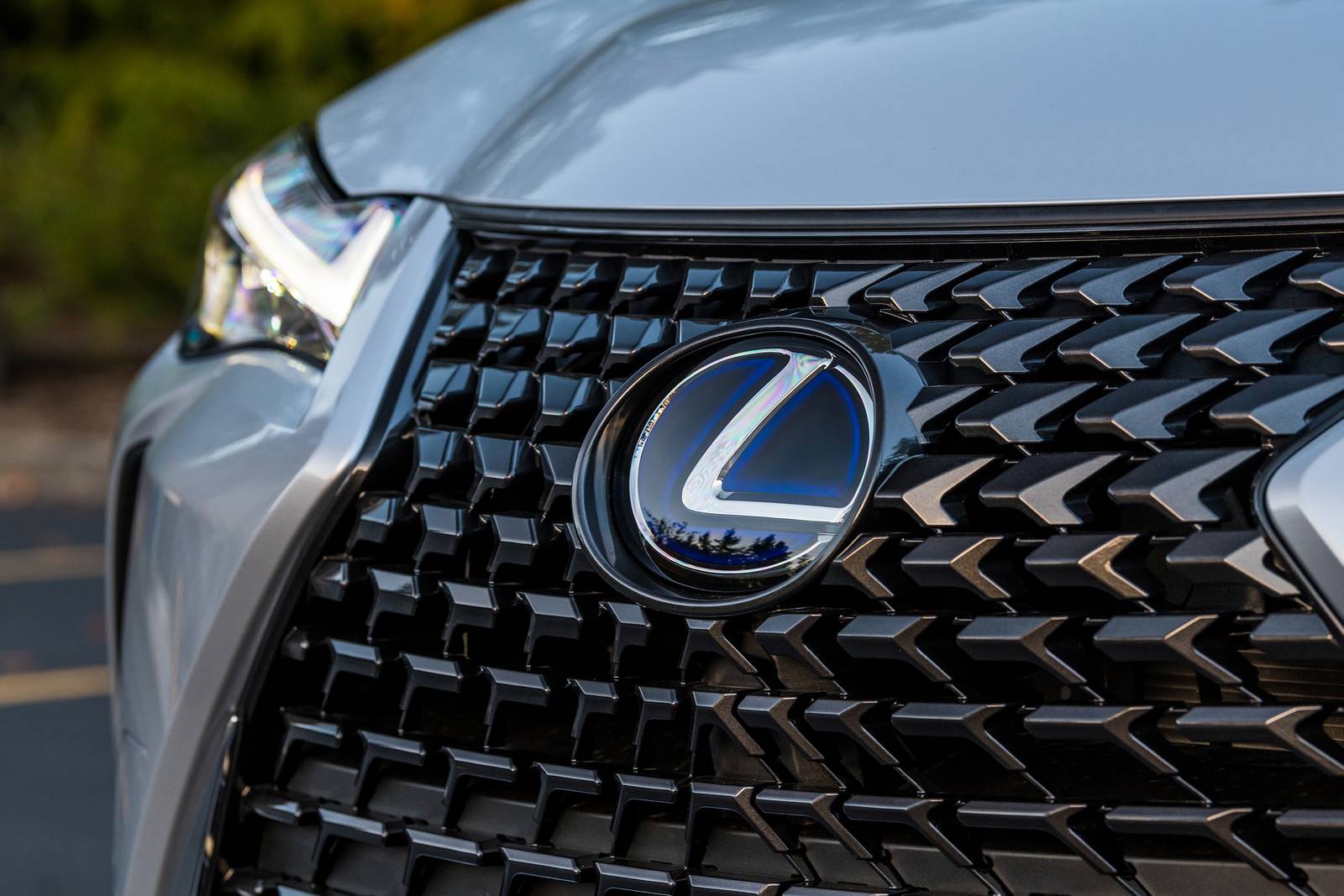 2019 Lexus Ux exterior FBDG