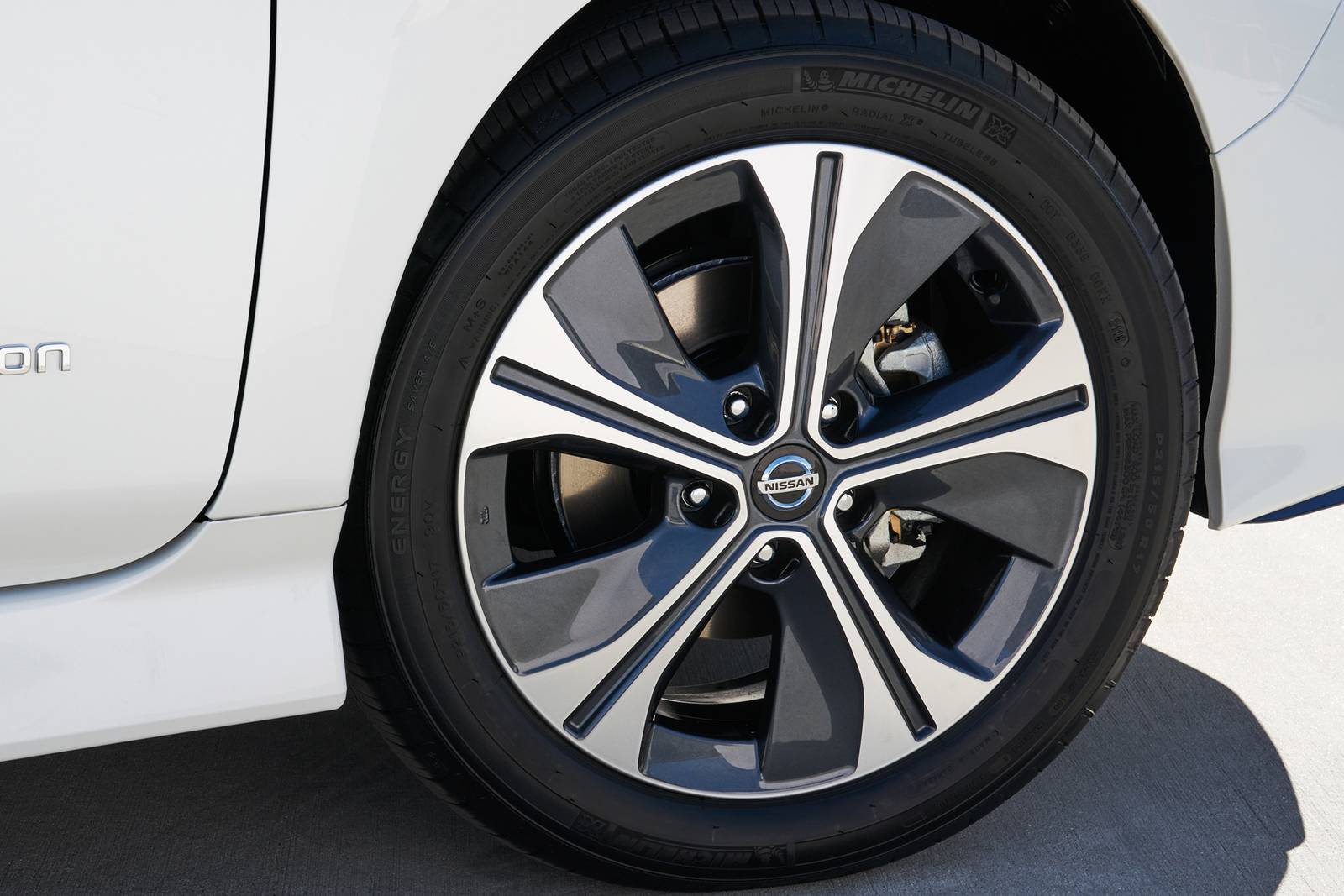 2019 Nissan Leaf exterior W