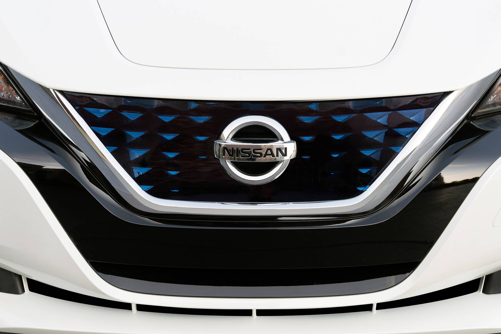 2020 Nissan Leaf exterior FBDG