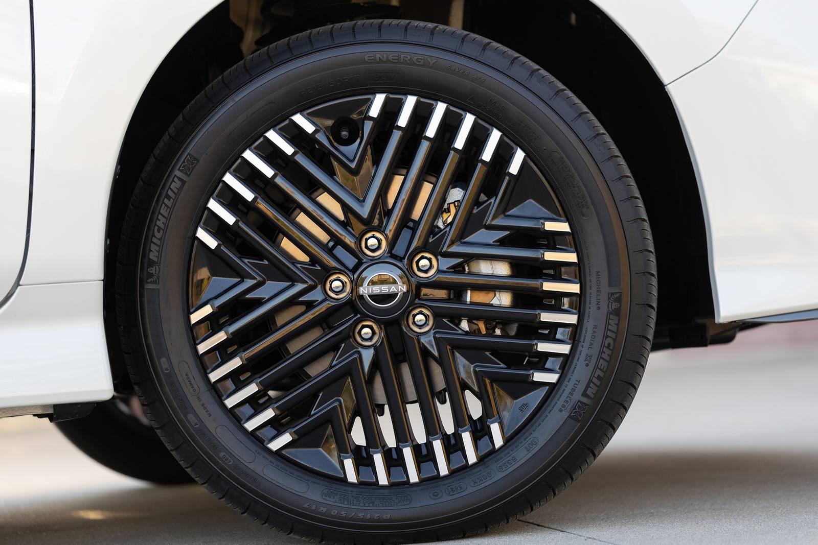 2025 Nissan Leaf exterior W