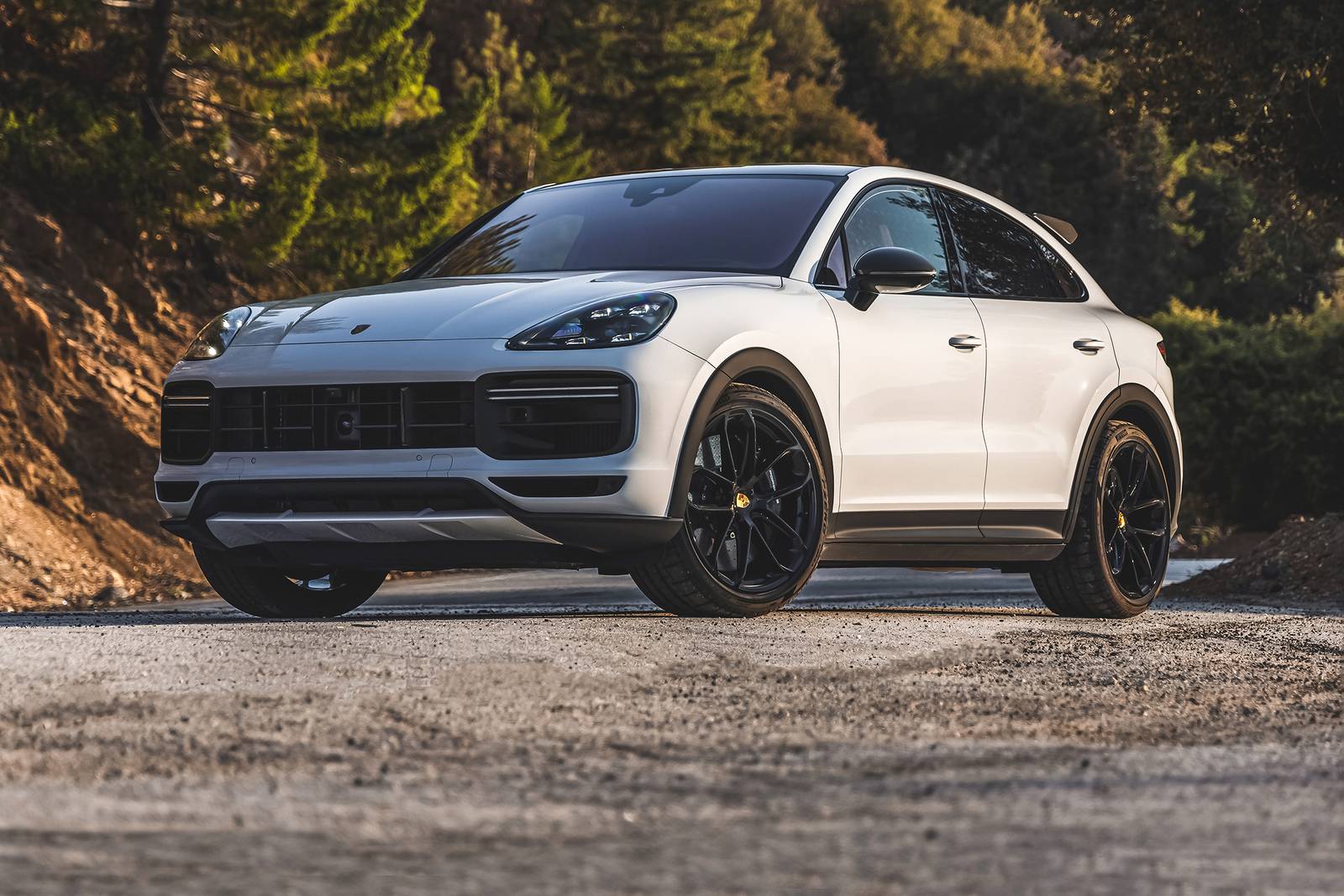 2022 Porsche Cayenne exterior FQ