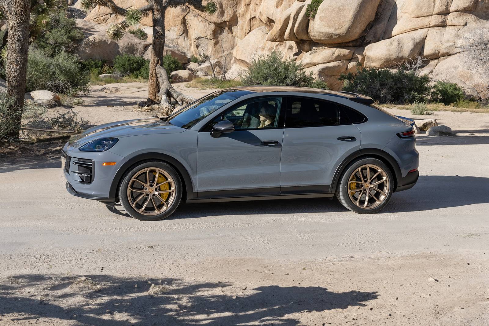 2025 Porsche Cayenne performance