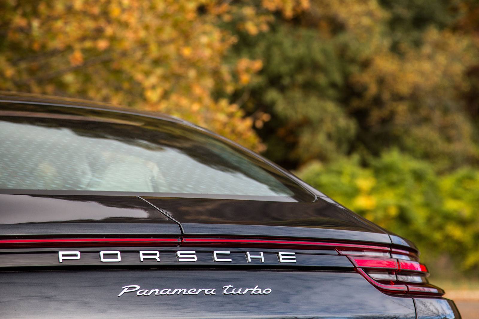 2019 Porsche Panamera exterior RBDG