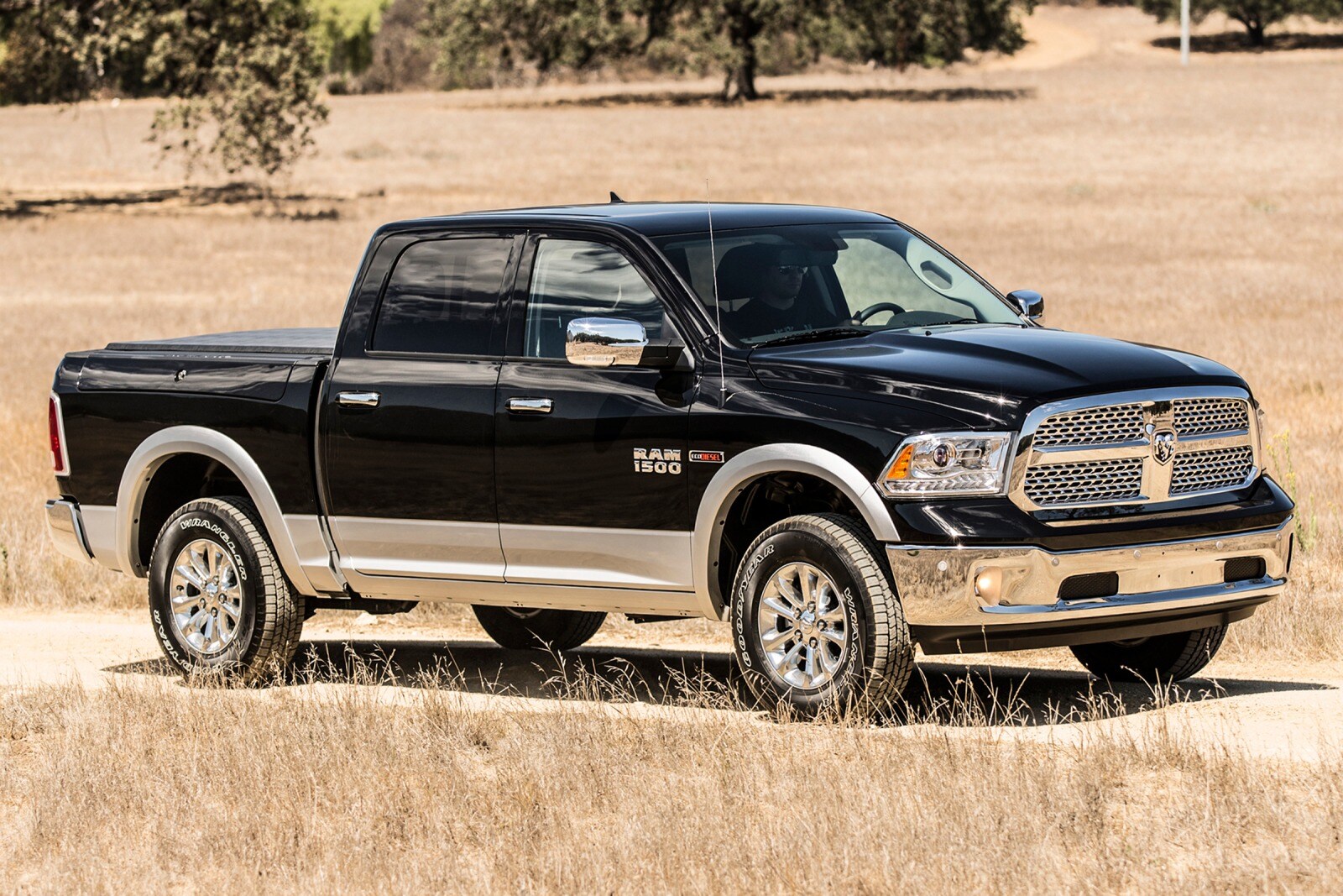 2015 Ram 1500 exterior FQ